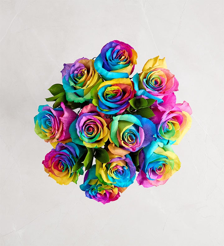 Kaleidoscope Roses, 12-24  Stems