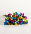 Kaleidoscope Roses