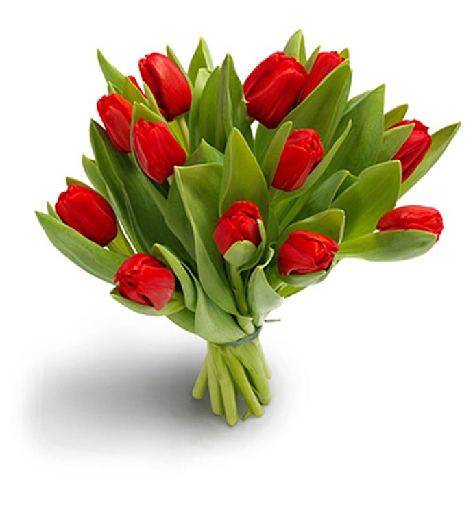 Ravishing Red Tulips