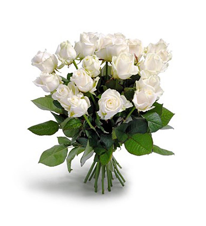 Wonderful White Roses