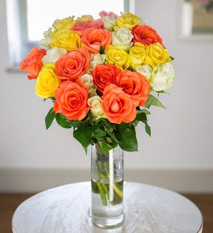 Vibrant Roses