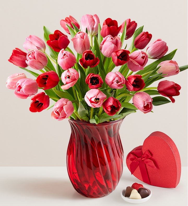 Sweetest Love Tulips