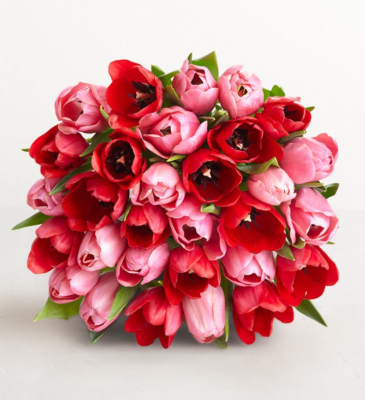 Sweetest Love Tulips