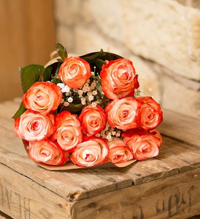Coral Roses