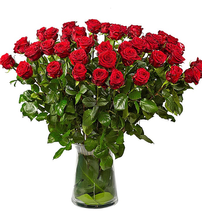 50 Red Roses