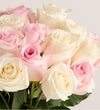 Lovely Mom Roses