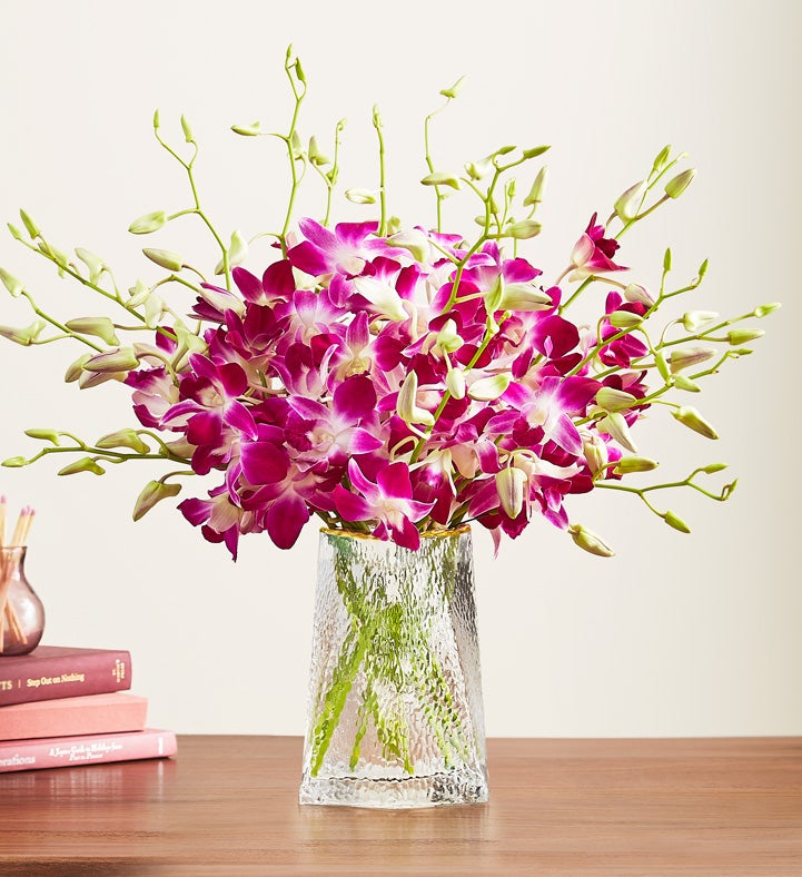 Exotic Breeze™ Orchids + Free Vase