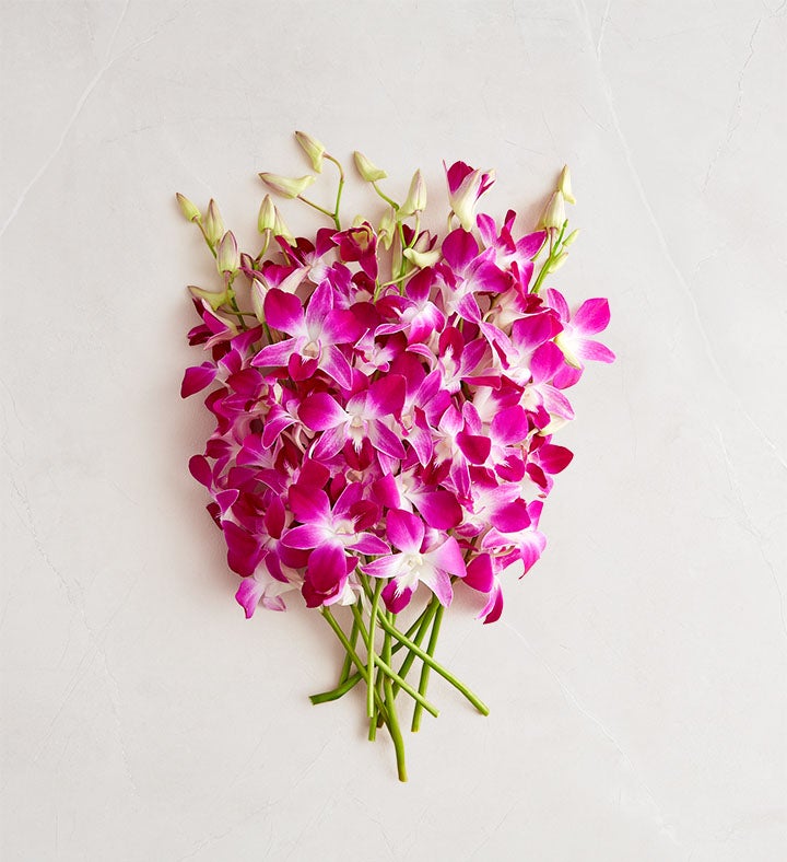 Stems Bouquet Only