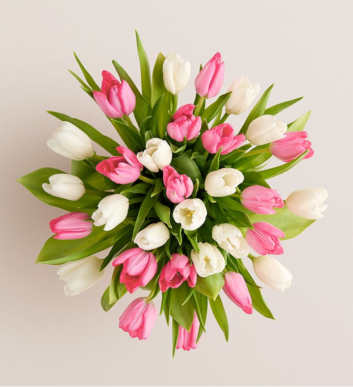 Sweet Spring Tulip Bouquet