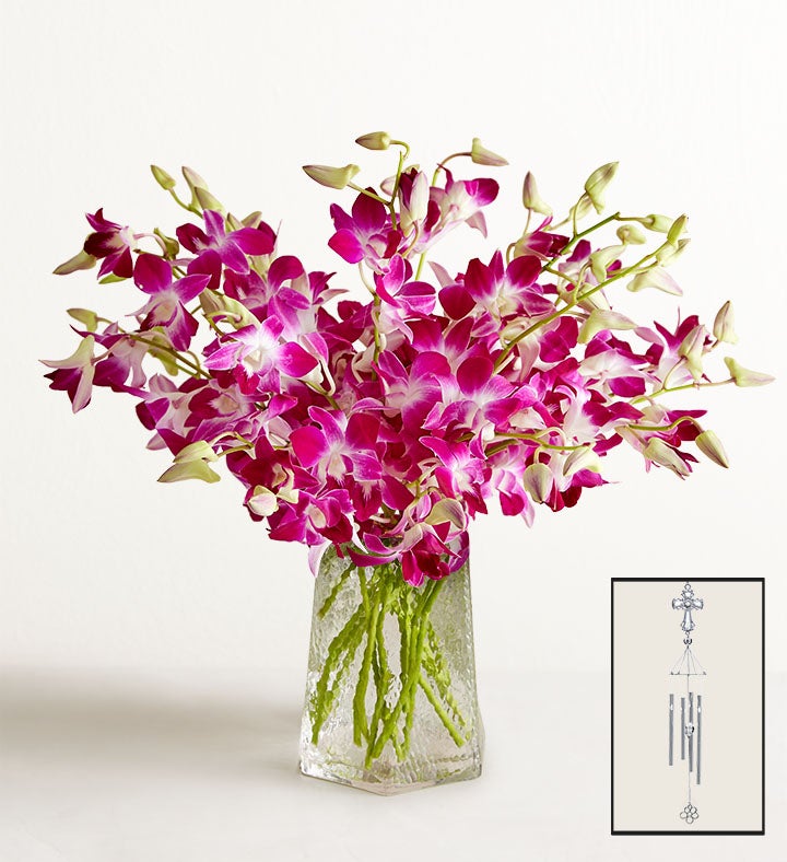 Sympathy Orchids