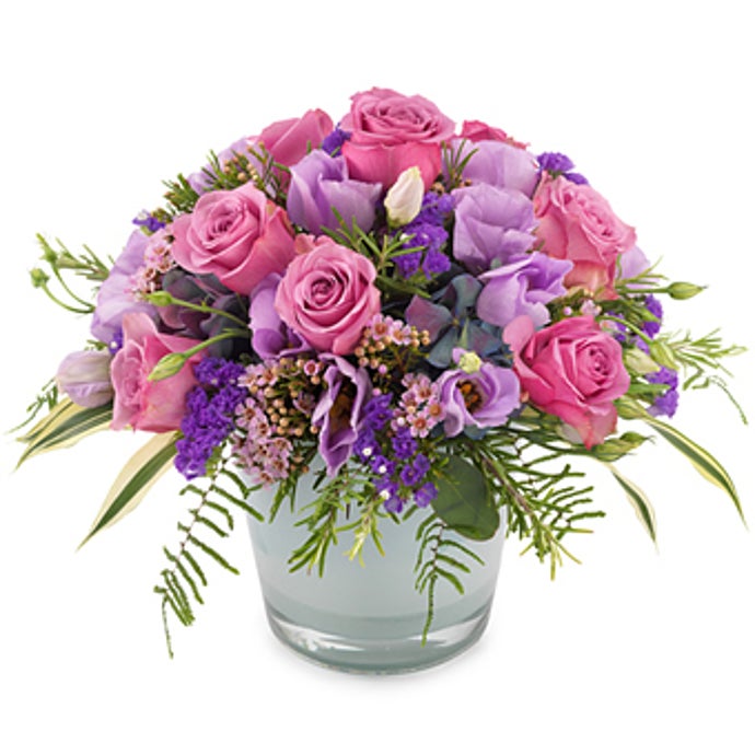 Dance of the Peacock