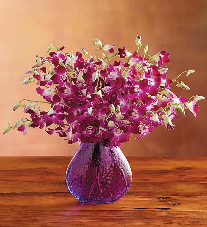 Exotic Breeze™ Orchids