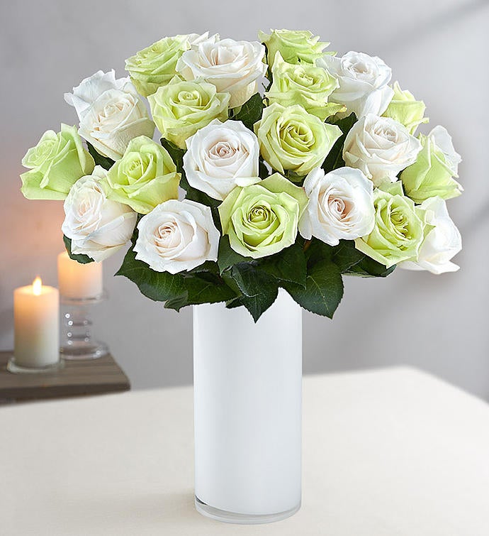 Winter Roses for Sympathy