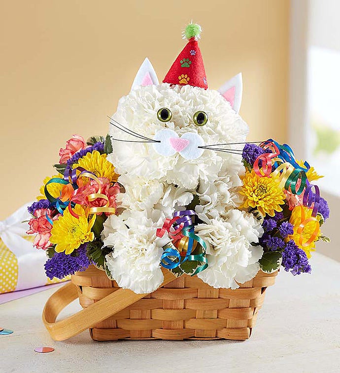 Purrfect Party Cat BOUQUET™