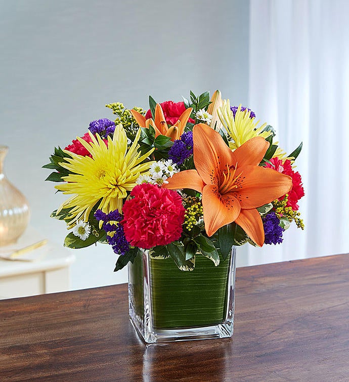 Healing Tears™ Multicolor Bright