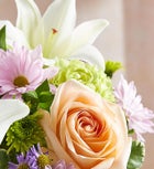 Healing Tears™ Multicolor Pastel