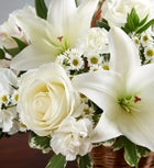 Peace, Prayers & Blessings™ All White