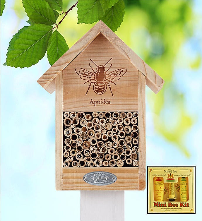 Bee House & Naked Bee® Spa Kit
