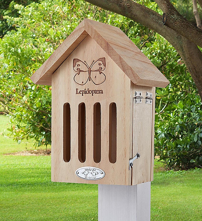 Butterfly House & Butterfly Feeder