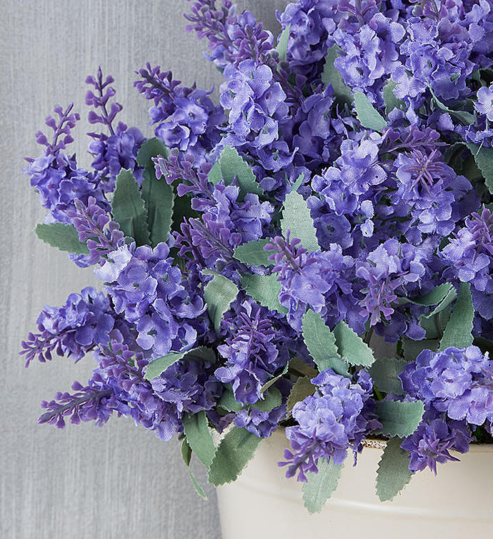 Lavender Door Décor