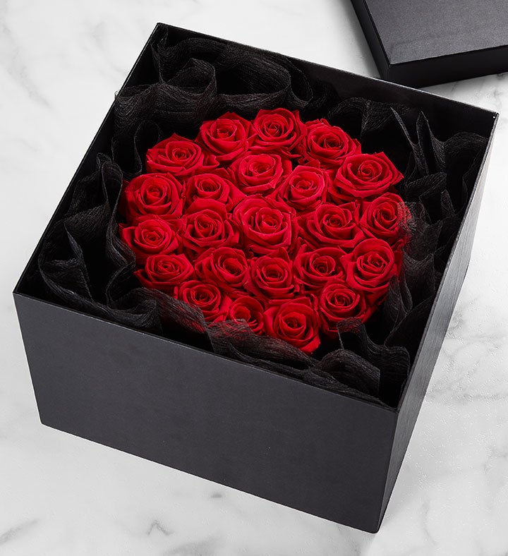Magnificent Roses® Preserved Roses | 1800Flowers.com
