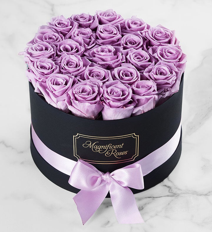 Magnificent Roses® Preserved  Lavender Roses