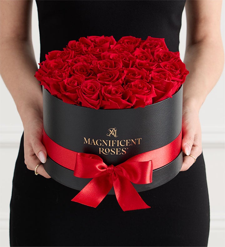 Magnificent Roses® Preserved Roses