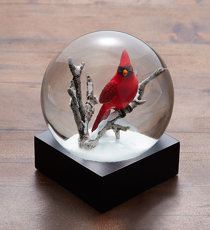 Details about   Elegant Red Bird Cardinal White Snow Glass Water Globe Pinecone 