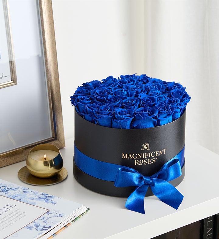 Magnificent Roses® Preserved  Blue Velvet Roses