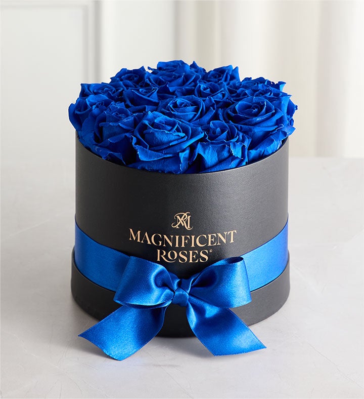 Magnificent Roses® Preserved  Blue Velvet Roses