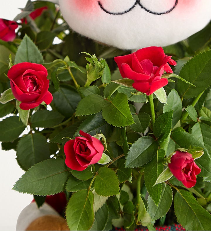 Red Rose Reindeer