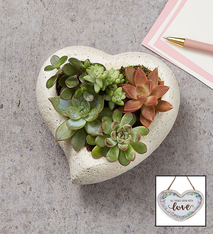 Sweet Succulent Heart Garden