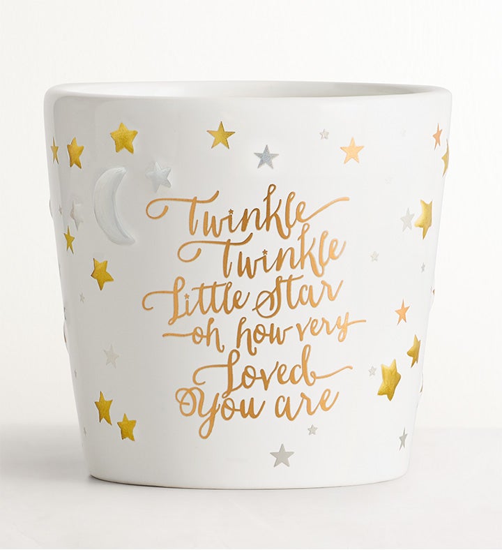 Twinkle Twinkle Baby Rose Plant | 1800Flowers