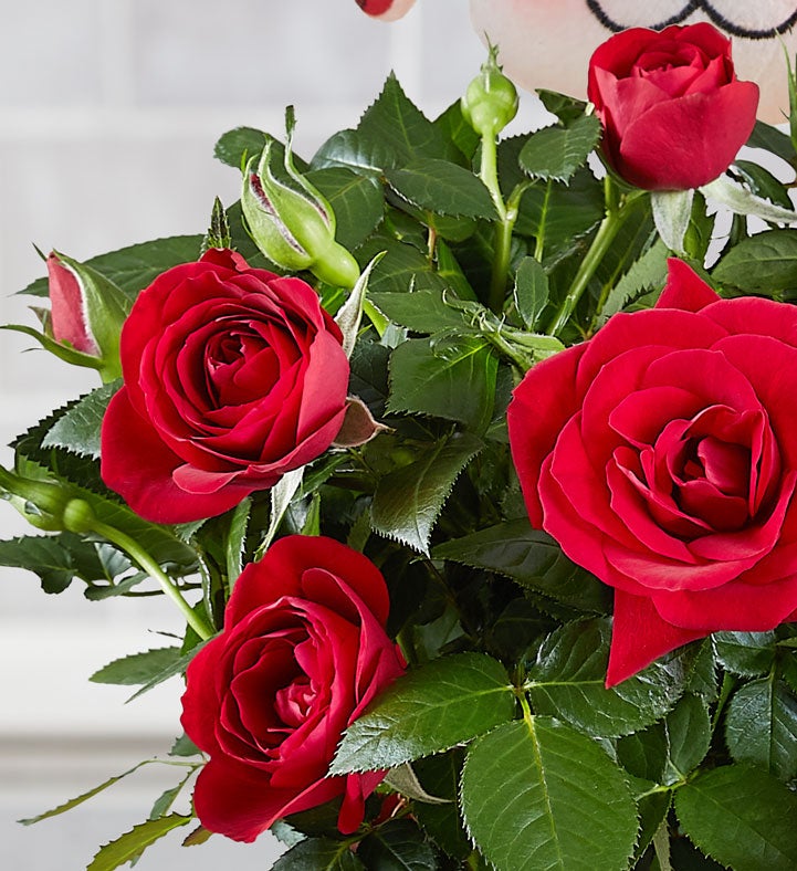 Rudy the Red Rose Reindeer