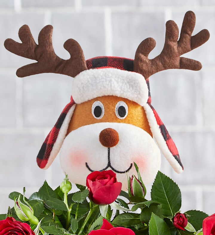 Rudy the Red Rose Reindeer