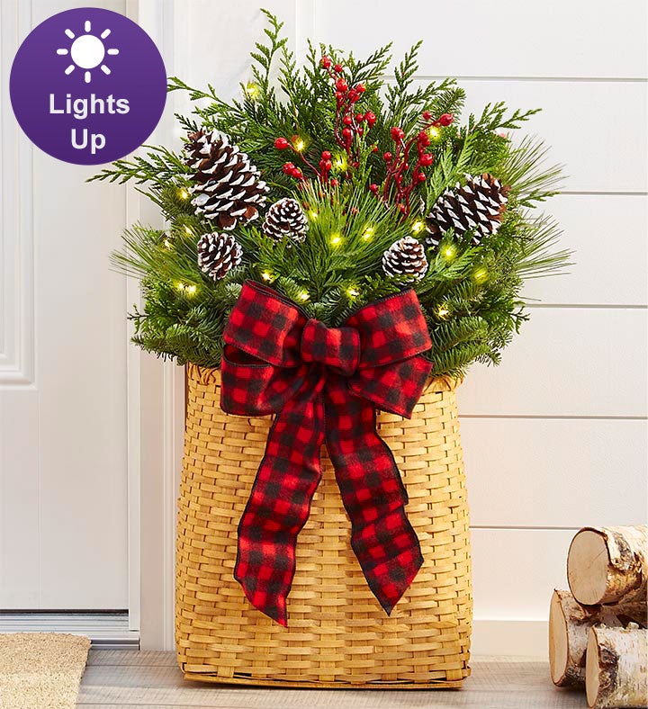 Evergreen Hanging Basket