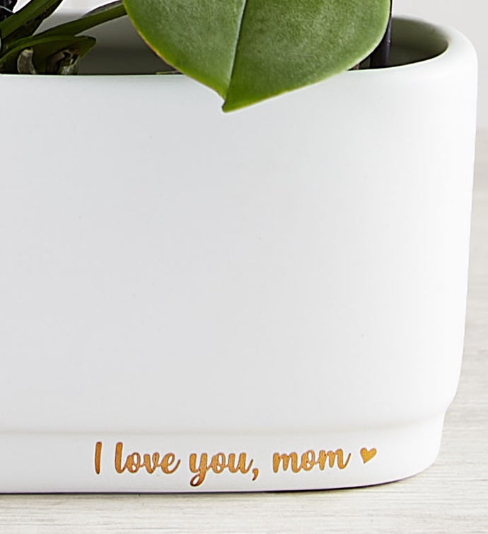 I Love You, Mom Mini Orchid