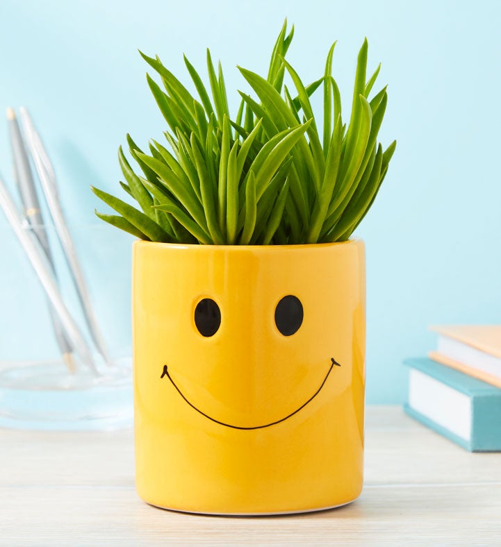 Smiley Succulent