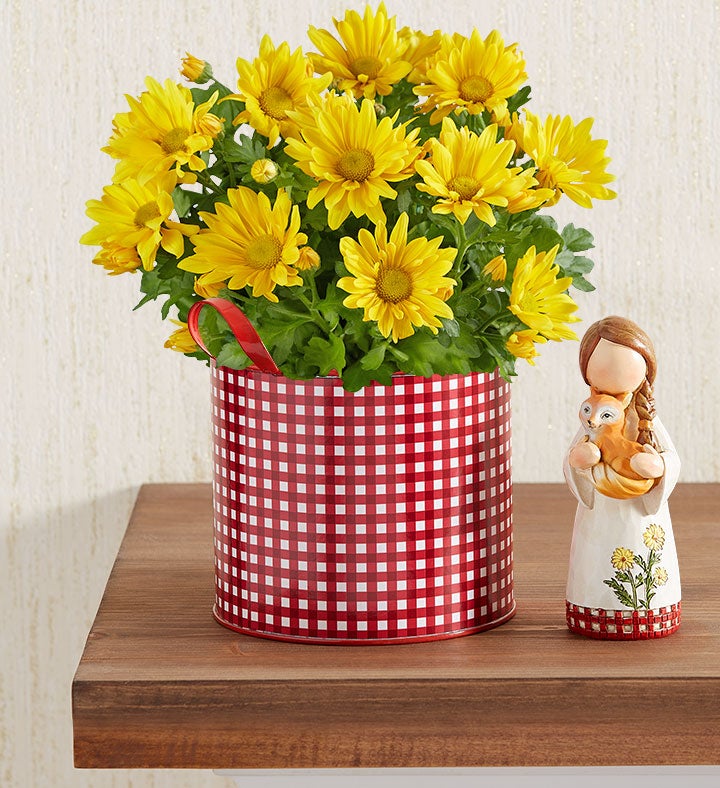 Country Sunshine Mum