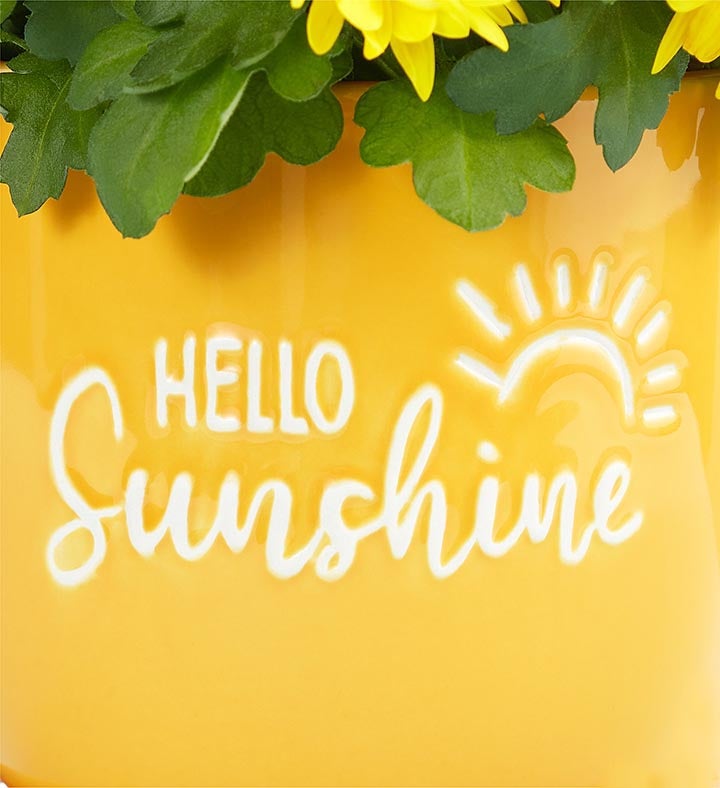 Hello Sunshine Mum