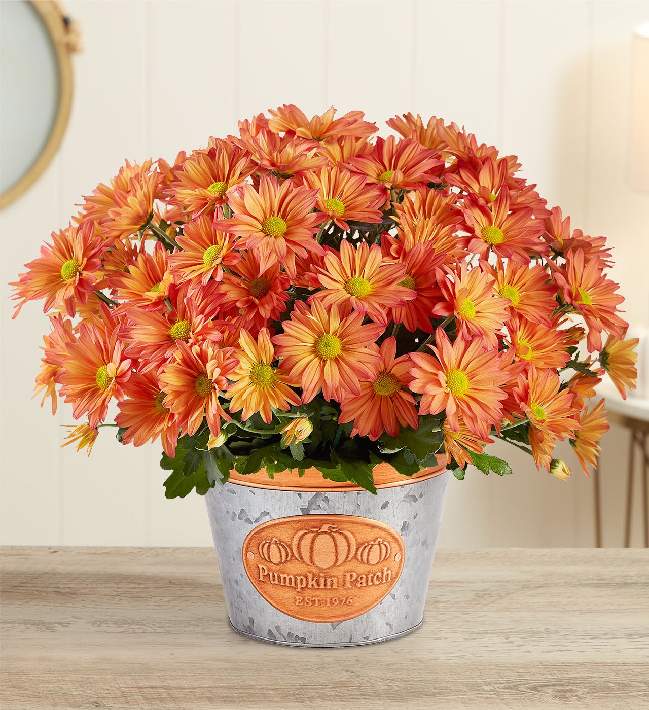 Pumpkin Patch Mum