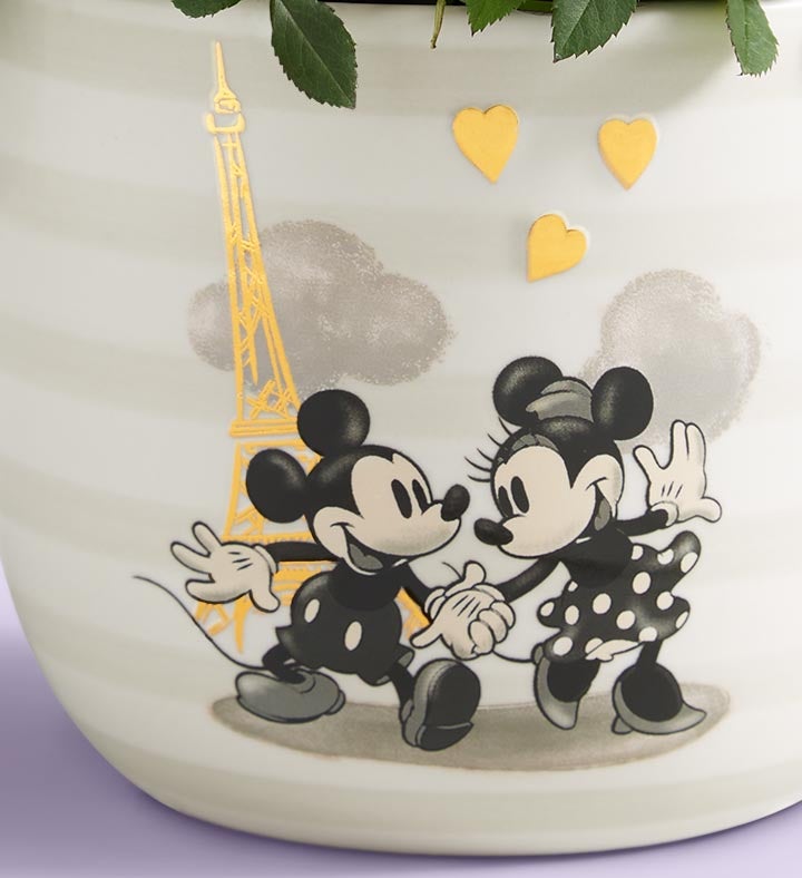Disney Mickey & Minnie Rose Plant