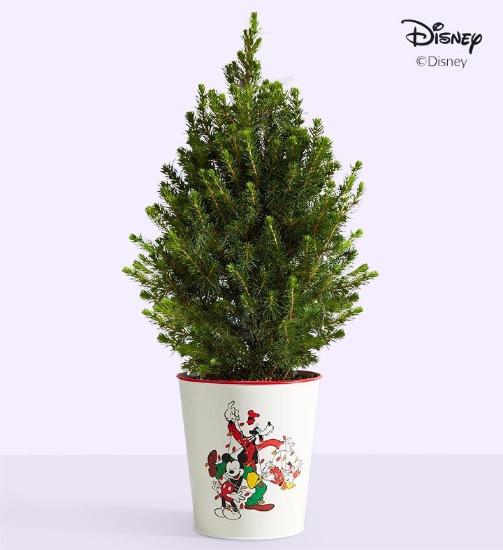 Disney Mickey Mouse & Friends Holiday Spruce