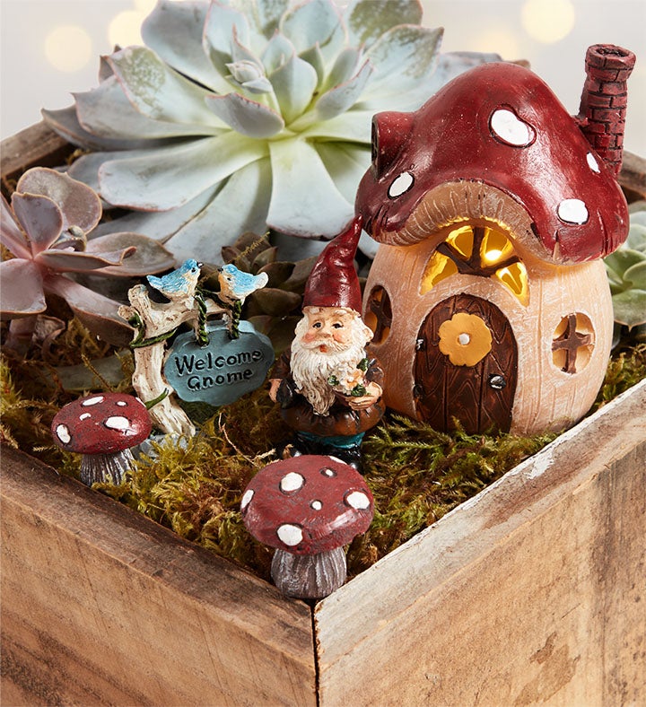 Welcome Gnome Succulent Garden 