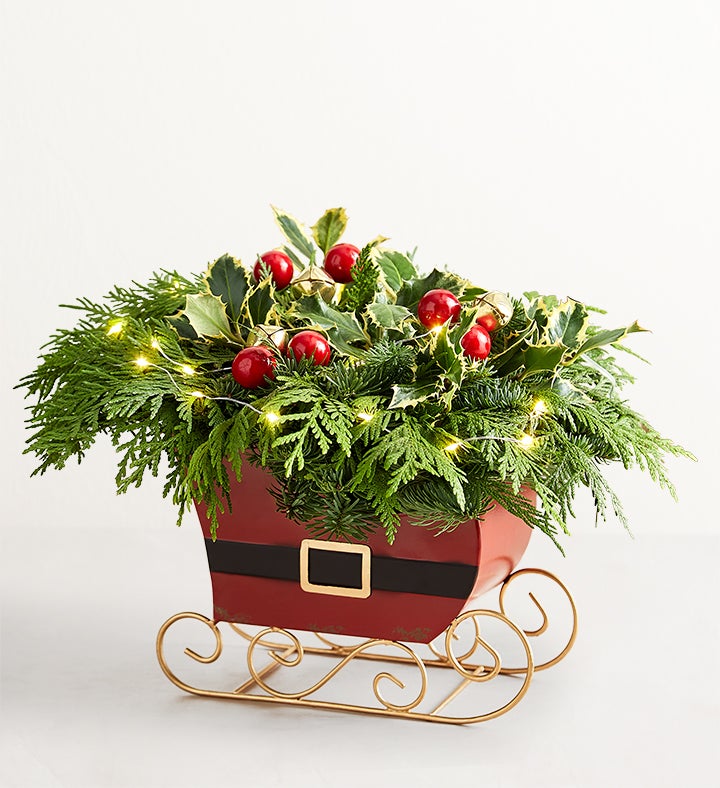 Classic Christmas Evergreens Sleigh