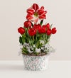 Holiday Charm Bulb Garden