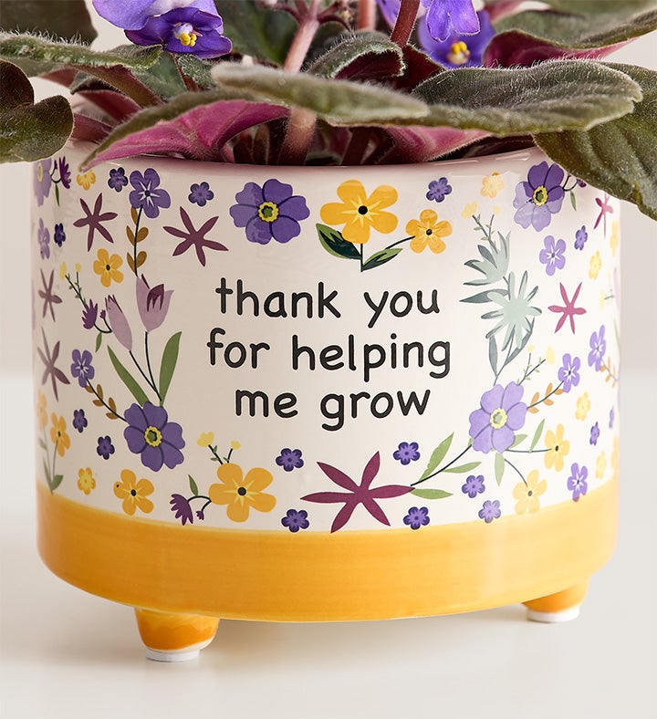 Thanks for Helping Me Grow African Violet