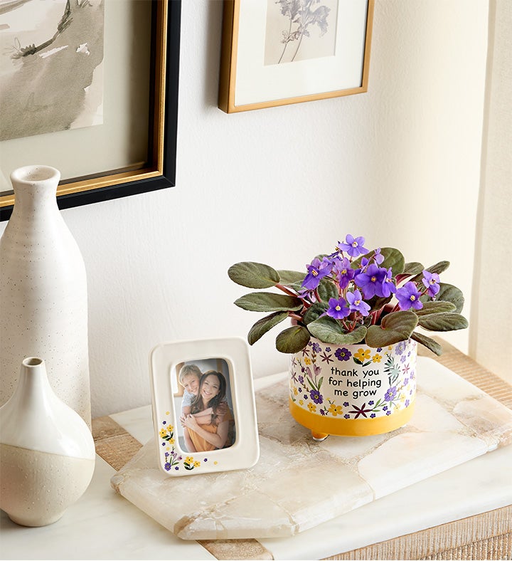 Thanks for Helping Me Grow African Violet