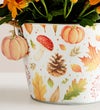 Pumpkin Patch Mum