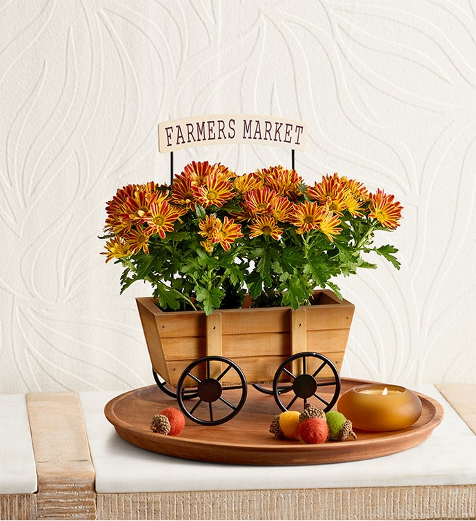 Farmers Market Mum